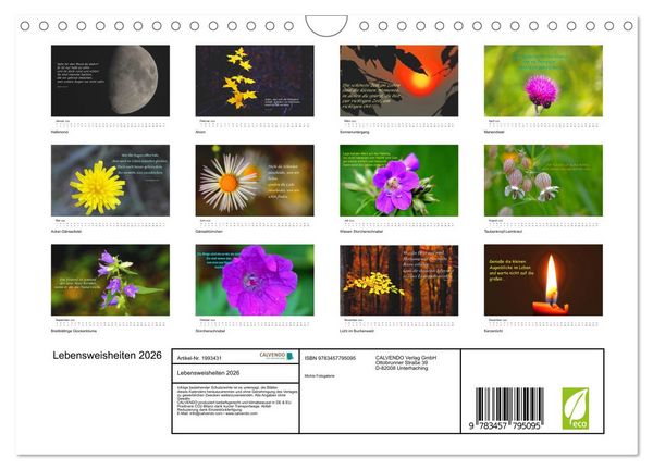 Produktbild: Lebensweisheiten 2026 (Wandkalender 2026 DIN A4 quer), CALVENDO Monatskalender