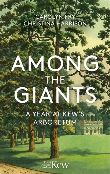 Produktbild: Among the Giants