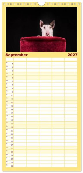 Produktbild: Familienplaner 2027 - Bullterrier mit 5 Spalten (Wandkalender, 21 x 45 cm) CALVENDO