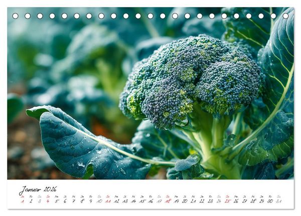 Produktbild: Gem&uuml;segarten - Gem&uuml;se aus dem eigenen Garten (Tischkalender 2026 DIN A5 quer), CALVENDO Monatskalender