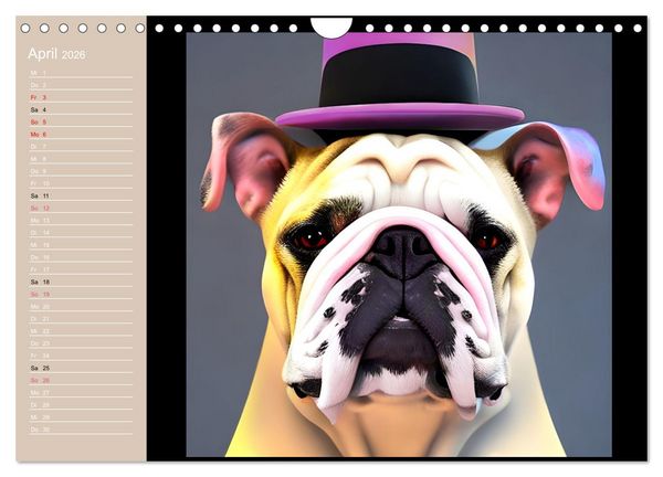 Produktbild: Graphic PoP Art Bulldogge (Wandkalender 2026 DIN A4 quer), CALVENDO Monatskalender