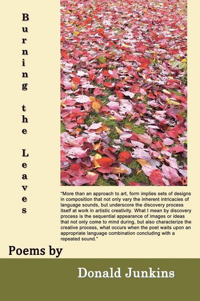 Produktbild: Burning the Leaves