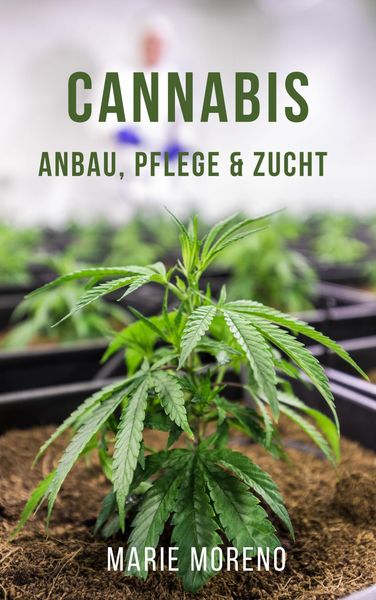 Produktbild: Cannabis