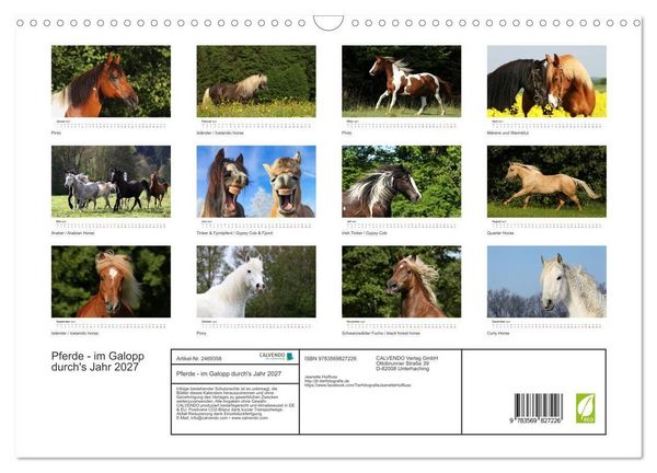 Produktbild: Pferde - im Galopp durch's Jahr 2027 (Wandkalender 2027 DIN A3 quer), CALVENDO Monatskalender