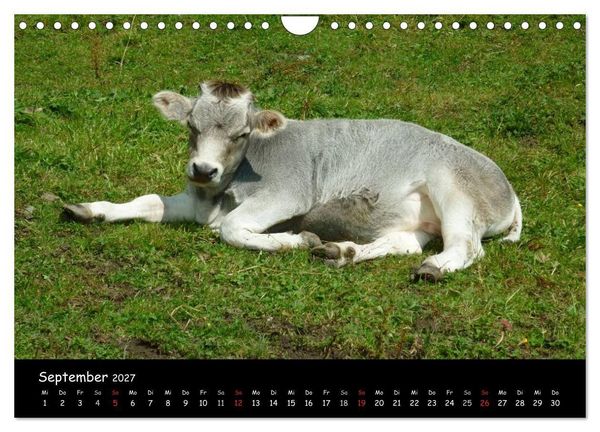 Produktbild: Alpenwelten (Wandkalender 2027 DIN A4 quer), CALVENDO Monatskalender