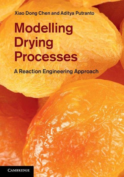 Produktbild: Modeling Drying Processes