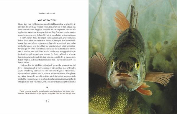 Produktbild: Wie Tiere f&uuml;hlen