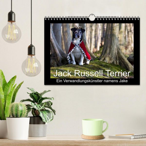 Produktbild: Jack Russell Terrier.....Ein Verwandlungsk&uuml;nstler namens Jake (Wandkalender 2026 DIN A4 quer), CALVENDO Monatskalender