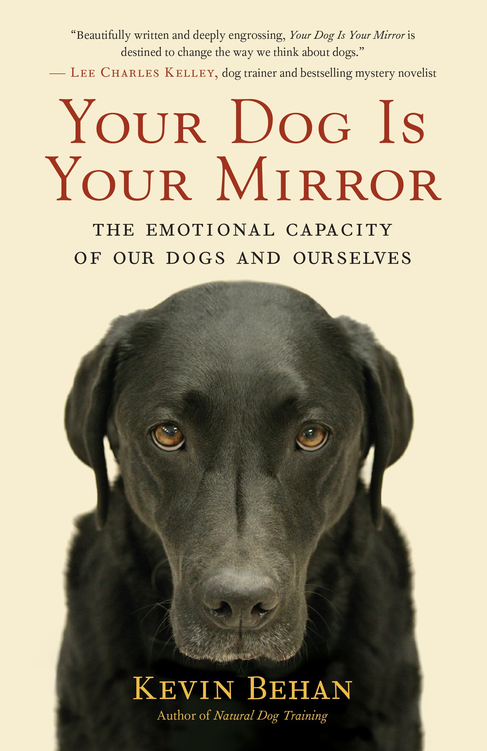 Produktbild: Your Dog Is Your Mirror