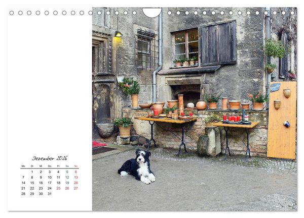 Produktbild: Naumburg/Saale - Bilder einer liebenswerten Stadt (Wandkalender 2026 DIN A4 quer), CALVENDO Monatskalender