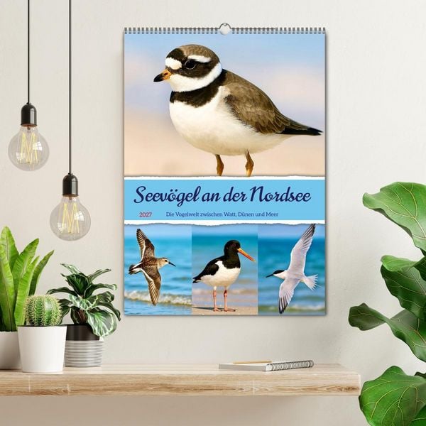 Produktbild: Seev&ouml;gel an der Nordsee (Wandkalender 2027 DIN A2 hoch), CALVENDO Monatskalender