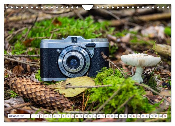 Produktbild: Alte Fotoapparate, Augenzeugen der Zeit (Wandkalender 2026 DIN A4 quer), CALVENDO Monatskalender