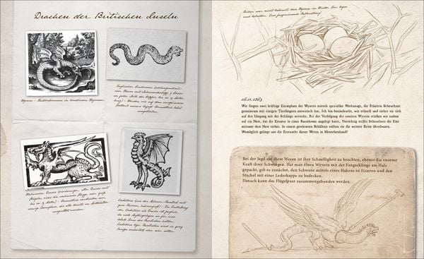 Produktbild: Fast verschwundene Fabelwesen. Die sagenhafte Expedition des Konstantin O. Boldt