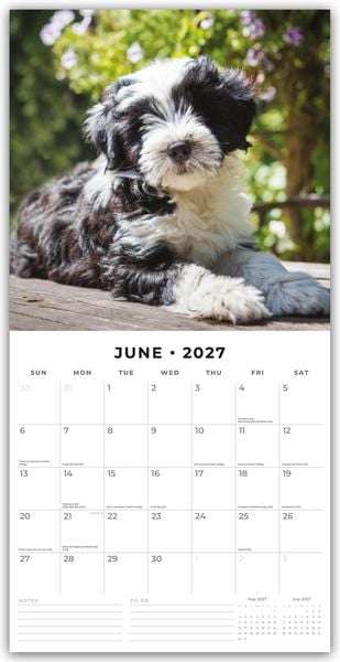 Produktbild: Tibetan Terriers &ndash; Tibet Terrier 2027 &ndash; 16-Monatskalender