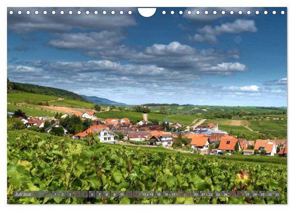 Produktbild: Weinland Pfalz - Region S&uuml;dliche Weinstra&szlig;e (Wandkalender 2026 DIN A4 quer), CALVENDO Monatskalender