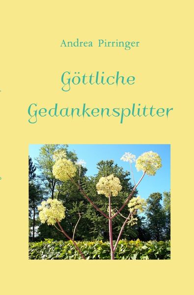 Produktbild: G&ouml;ttliche Gedankensplitter