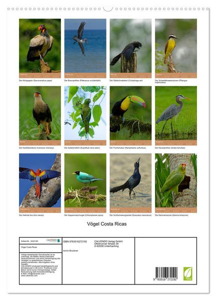 Produktbild: V&ouml;gel Costa Ricas (hochwertiger Premium Wandkalender 2026 DIN A2 hoch), Kunstdruck in Hochglanz