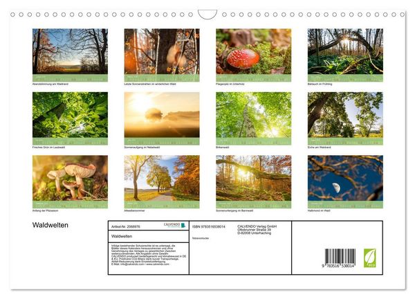 Produktbild: Waldwelten (Wandkalender 2026 DIN A3 quer), CALVENDO Monatskalender