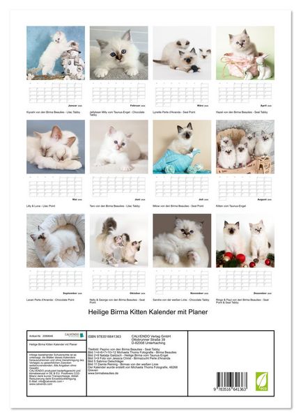 Produktbild: Heilige Birma Kitten Kalender mit Planer (Wandkalender 2026 DIN A3 hoch), CALVENDO Monatskalender