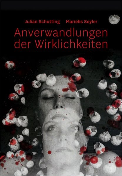 Produktbild: Julian Schutting | Marielis Seyler &ndash; Anverwandlungen der Wirklichkeiten