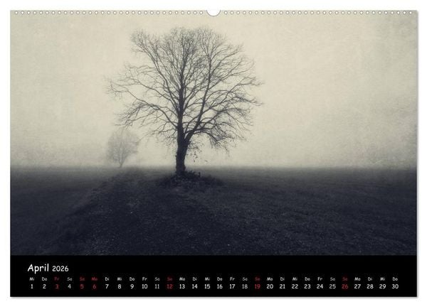 Produktbild: Bei uns im L&auml;ndle - Vorarlberg 2026 (Wandkalender 2026 DIN A2 quer), CALVENDO Monatskalender