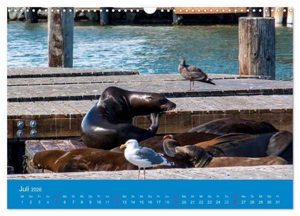 Produktbild: San Francisco - Wie ich es sehe (Wandkalender 2026 DIN A3 quer), CALVENDO Monatskalender