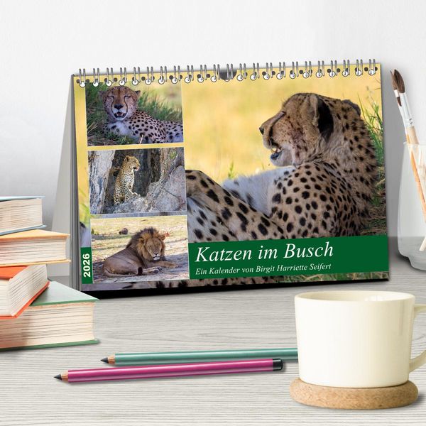 Produktbild: Katzen im Busch (Tischkalender 2026 DIN A5 quer), CALVENDO Monatskalender