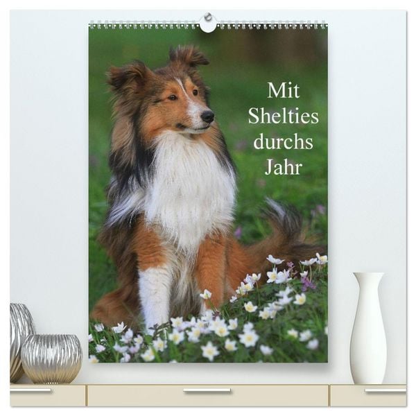 Produktbild: Mit Shelties durchs Jahr (hochwertiger Premium Wandkalender 2026 DIN A2 hoch), Kunstdruck in Hochglanz