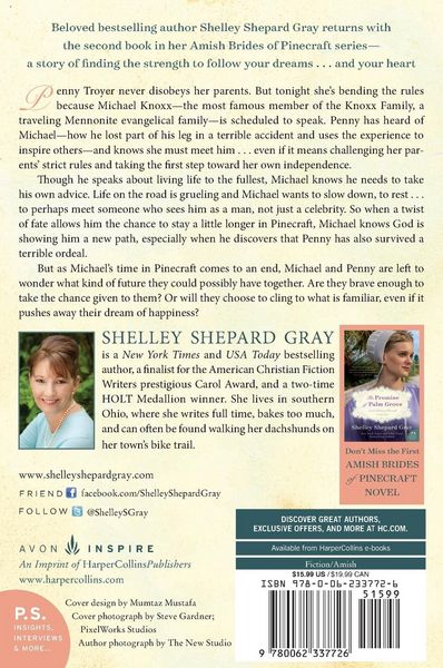 Produktbild: The Proposal at Siesta Key