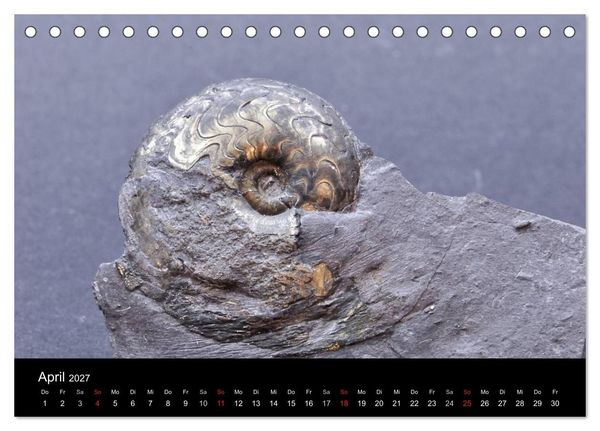 Produktbild: Fossilien - Zeugen der Urzeit (Tischkalender 2027 DIN A5 quer), CALVENDO Monatskalender
