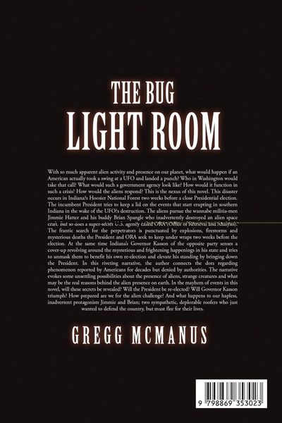 Produktbild: The Bug Light Room