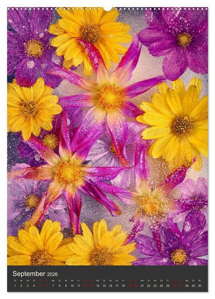 Produktbild: Magische Eisblumen (Wandkalender 2026 DIN A2 hoch), CALVENDO Monatskalender