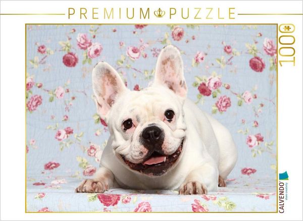 Produktbild: CALVENDO Puzzle Franz&ouml;sische Bulldogge / French Bulldog | 1000 Teile Lege-Gr&ouml;&szlig;e 64x48cm Foto-Puzzle f&uuml;r gl&uuml;ckliche Stunden