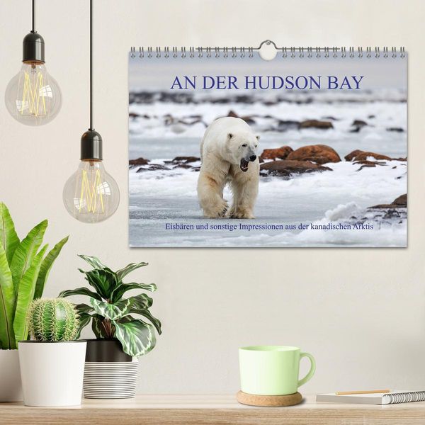 Produktbild: AN DER HUDSON BAY (Wandkalender 2026 DIN A4 quer), CALVENDO Monatskalender