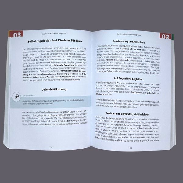 Produktbild: Gemeinsam durch die Wut