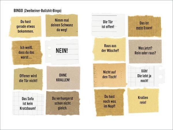 Produktbild: Wie wir Katzen die Welt sehen