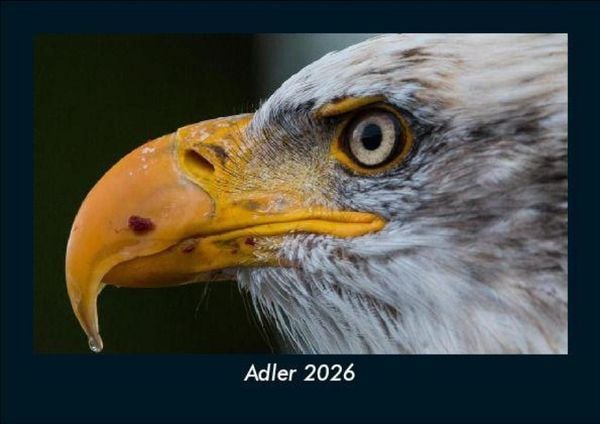 Adler 2026 Fotokalender DIN A5