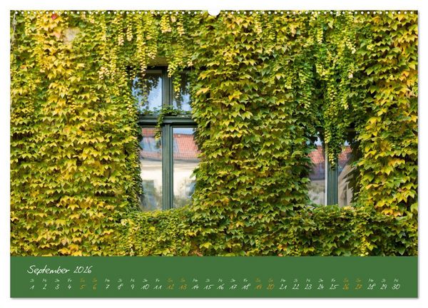 Produktbild: Fenster & Fassade (Wandkalender 2026 DIN A2 quer), CALVENDO Monatskalender
