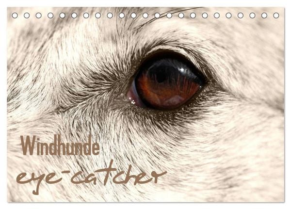 Produktbild: Windhunde eye-catcher (Tischkalender 2026 DIN A5 quer), CALVENDO Monatskalender