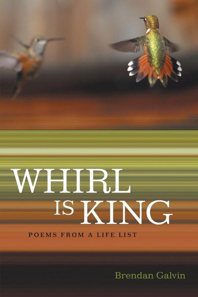 Produktbild: Whirl Is King