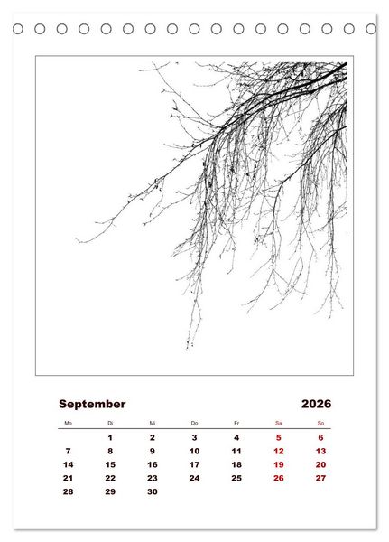 Produktbild: LignoGrafica - Muster und Strukturen der B&auml;ume (Tischkalender 2026 DIN A5 hoch), CALVENDO Monatskalender