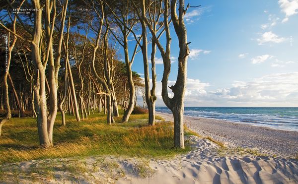 Produktbild: Hidden Beaches Deutschland
