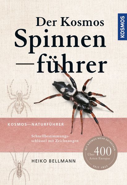 Produktbild: Der Kosmos Spinnenf&uuml;hrer