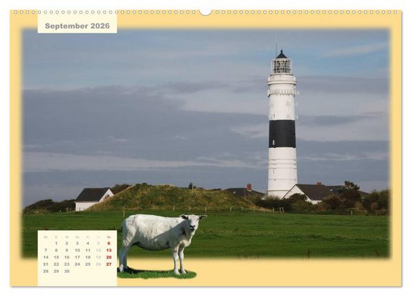 Produktbild: Leuchtt&uuml;rme Schleswig-Holsteins (hochwertiger Premium Wandkalender 2026 DIN A2 quer), Kunstdruck in Hochglanz