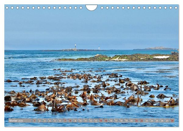 Produktbild: Les &icirc;les conqu&eacute;toises (Calendrier mural 2026 DIN A4 vertical), CALVENDO calendrier mensuel