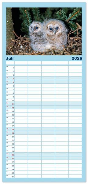 Produktbild: Familienplaner 2026 - Das Leben der Eulen, die Damen der Nacht mit 5 Spalten (Wandkalender, 21 x 45 cm) CALVENDO