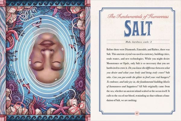 Produktbild: The Illustrated Crystallary