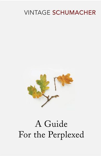 Produktbild: Guide For the Perplexed