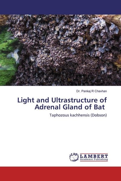 Produktbild: Light and Ultrastructure of Adrenal Gland of Bat
