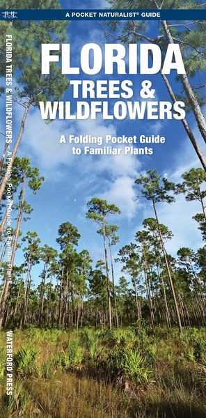 Produktbild: Florida Trees & Wildflowers